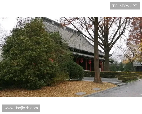 杈藉畞榫欒垷锛氬姏鏅哄弻椹憋紝绔炴浮鍏ㄨ繍